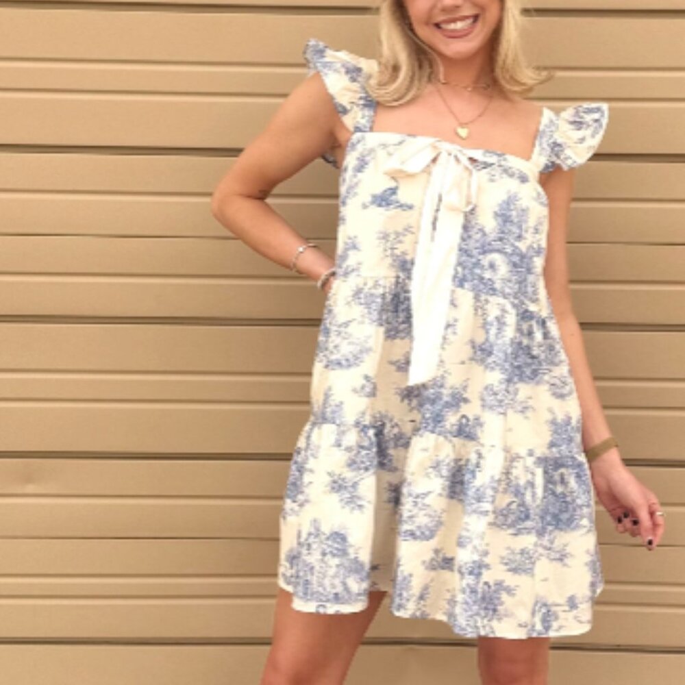 NEW Aureum Caroline Toile Ruffle Mini Dress – Blue